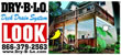 Banners: Image