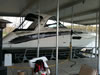 Custom Boat Graphics: Image