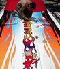Custom Boat Graphics: Image
